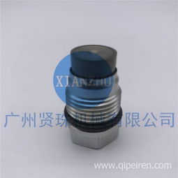 博世高压共轨系统关键部件解析 1110010015泄压/限压阀